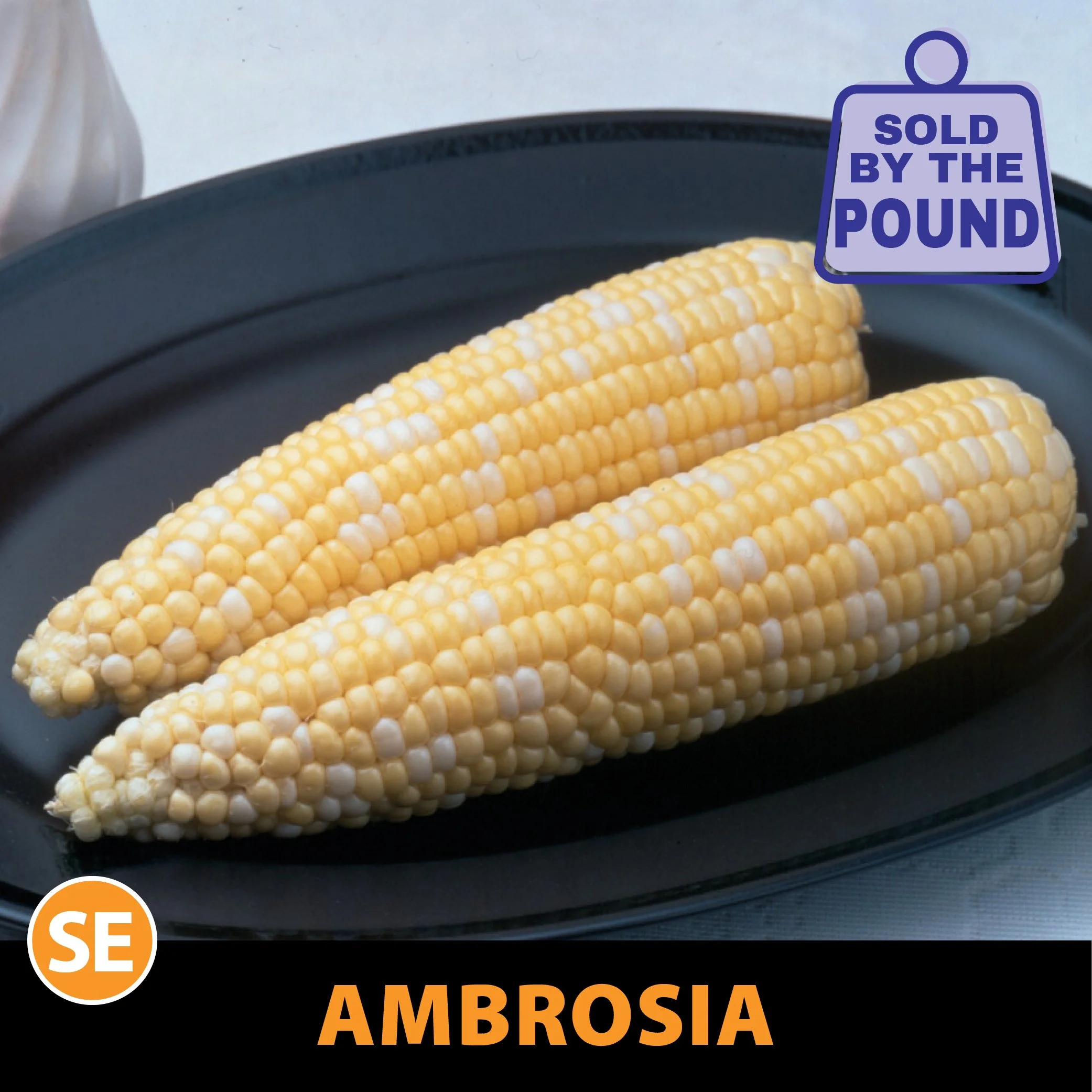 Ambrosia Sweet Corn — Direct Enterprises | Custom Seed Treatment